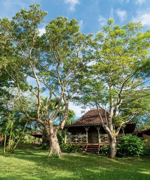 กรีน อูมาลัส รีสอร์ต Hotel เซมินยัค ภายนอก รูปภาพ